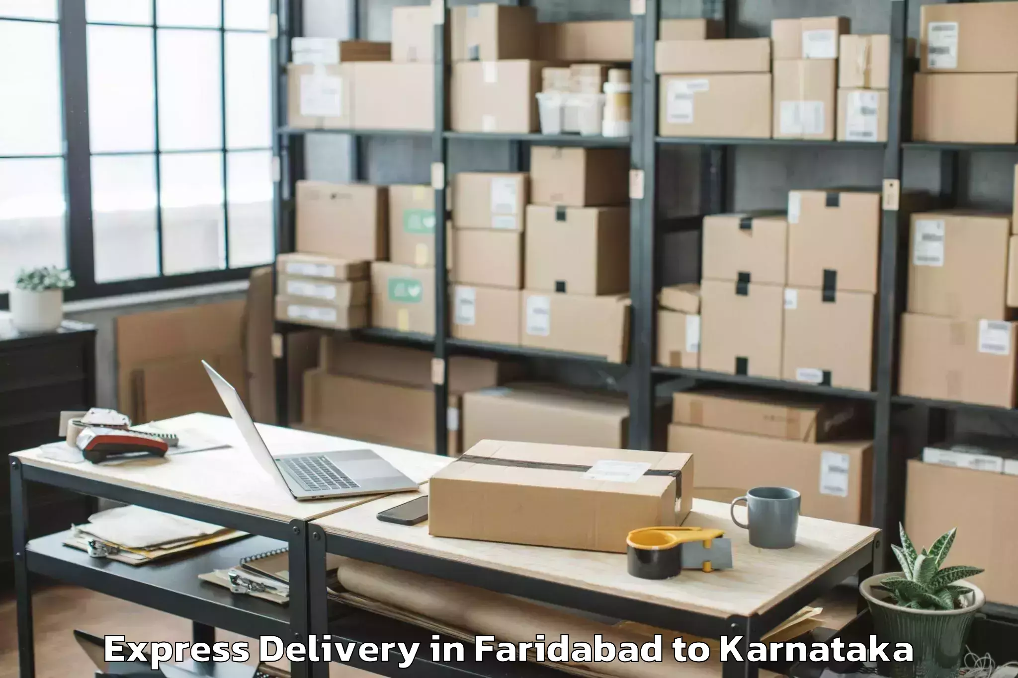 Get Faridabad to Kampli Express Delivery